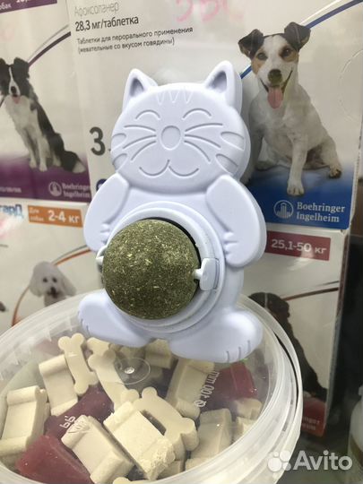 Кошачья мята