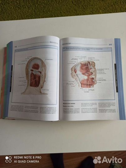 Большой атлас анатомии человека