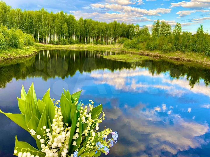 Участок 21 сот. (ИЖС)