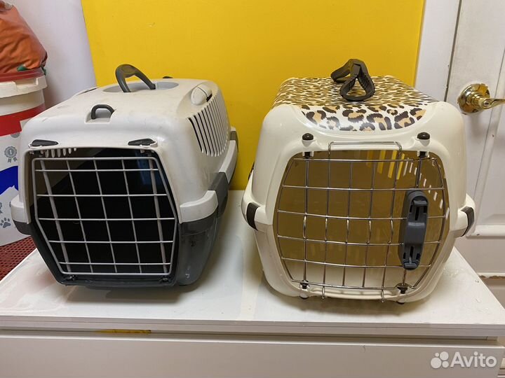 Переноска и поводки