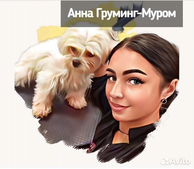 Грумер. Стрижка собак