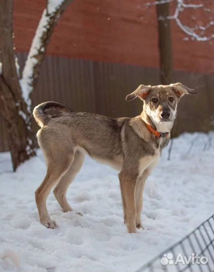 Эми, 4 месяца