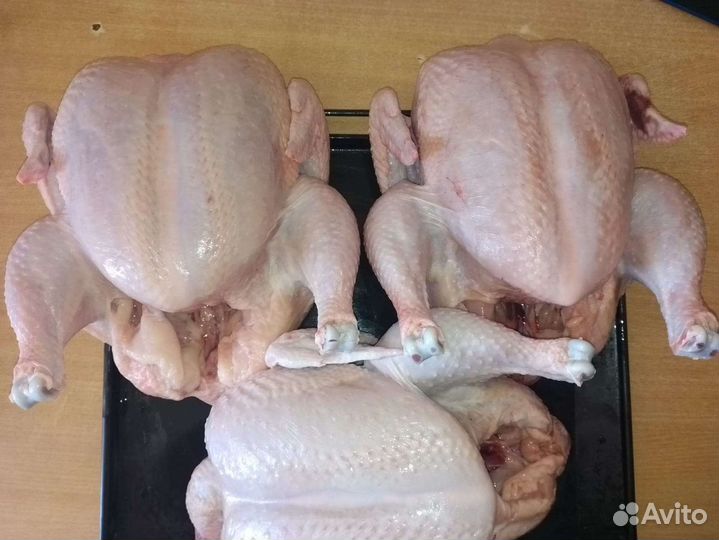 Мясо домашних кур (бройлеров)