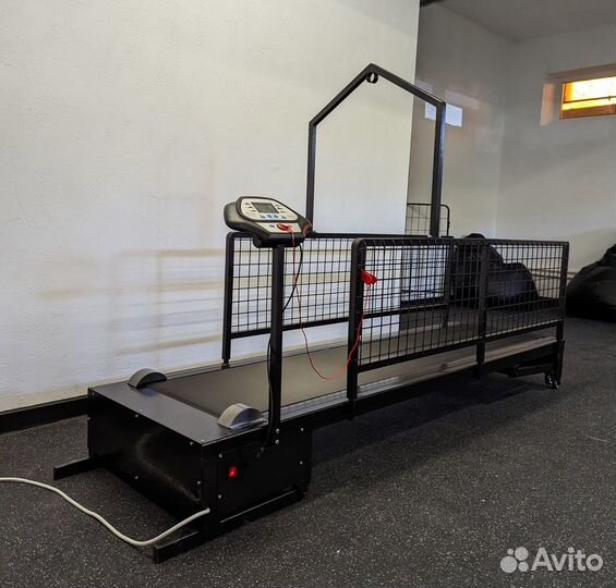 Кинолог, зоопсихолог, хендлер, дог-фитнес тренер