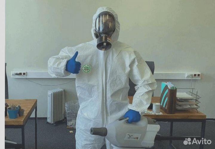 Уничтожение клопов тараканов грибка плесени