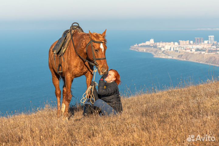 Конные прогулки & походы в Анапе