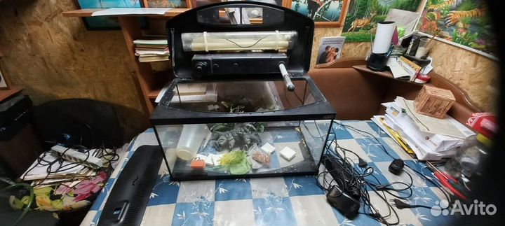 Аквариум домашний