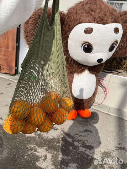 Пневмокостюм чебур