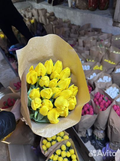 Тюльпаны опт Краснодар к 8 марта
