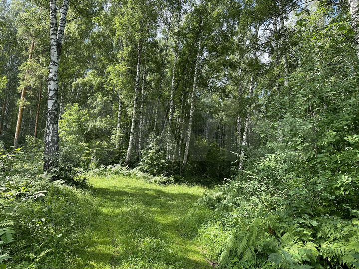 Участок 17 сот. (СНТ, ДНП)