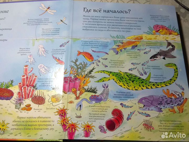 Книга Открой тайны подводного мира