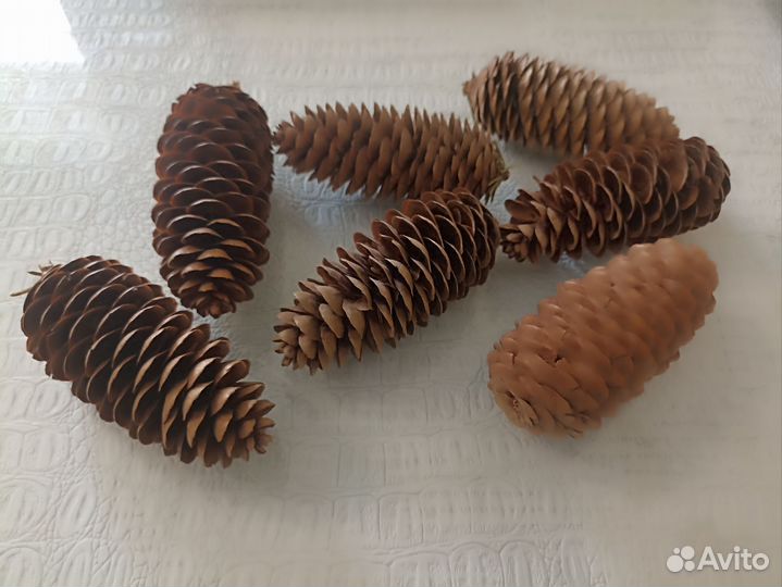 Шишки еловые для декора 7шт