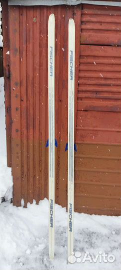 Лыжи беговые fischer max base