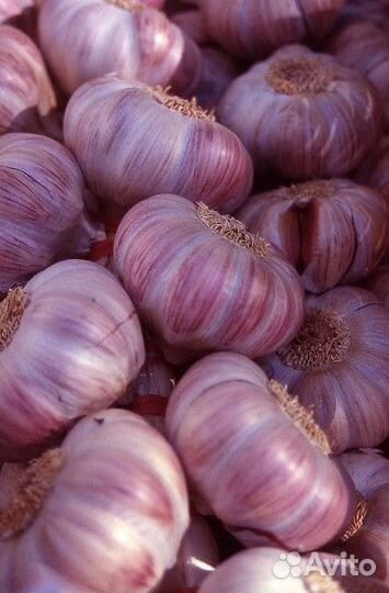 Доставка овощей, мяса, бакалеи