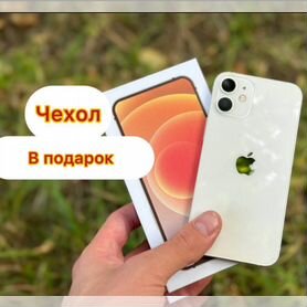 iPhone 12 mini, 256 ГБ