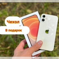 iPhone 12 mini, 256 ГБ