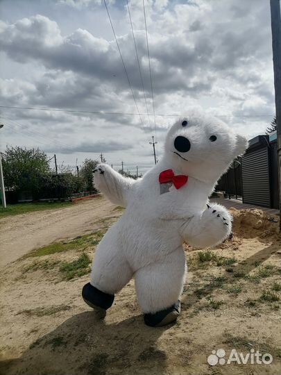 Поздравление от Белого Мишки или Зайца