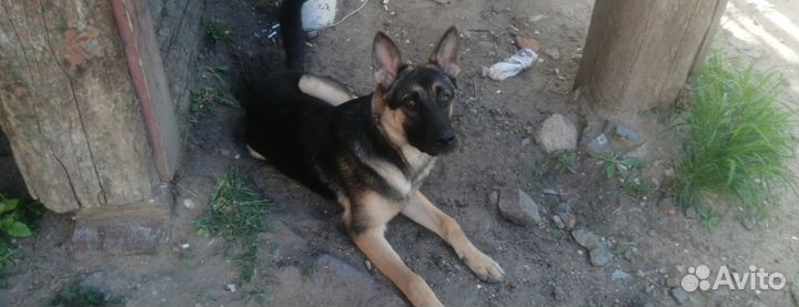 Спасите душу