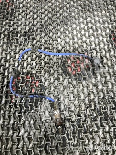 Лямбда-зонд Honda Accord