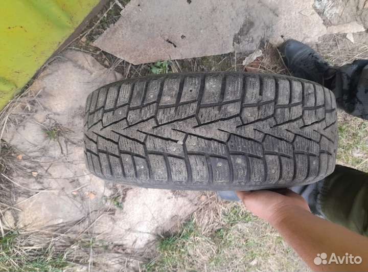 Roadstone Winguard WinSpike 195/55 R15