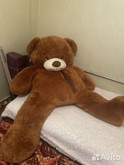 Плюшевый медведь
