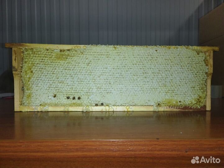 Продукты питания