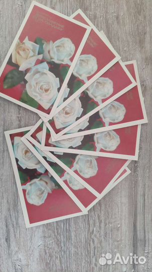 Открытки приглашение на свадьбу 1972 года выпуска