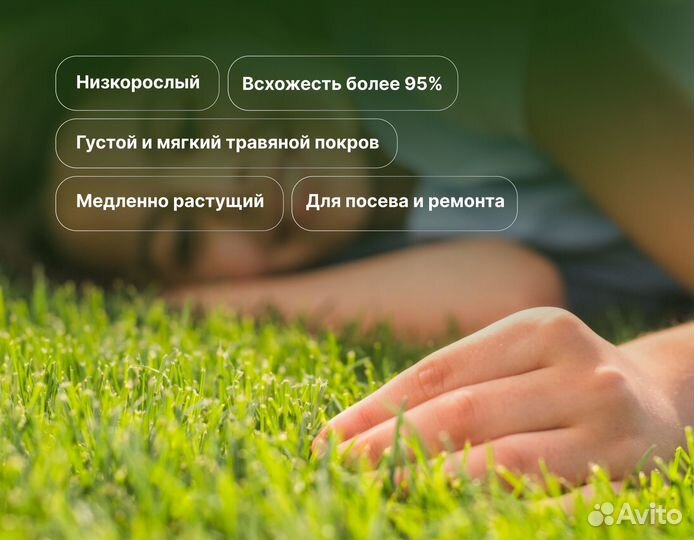Семена газонных трав