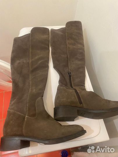 Сапоги женские демисезонные замшевые