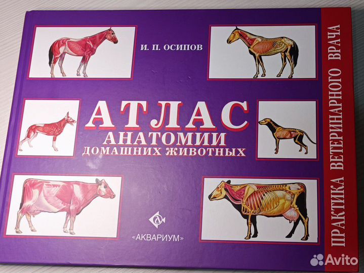 Атлас по анатомии