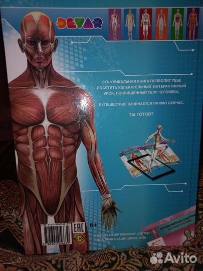 Анатомия в дополненой реальности