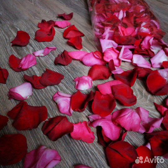 Лепестки роз