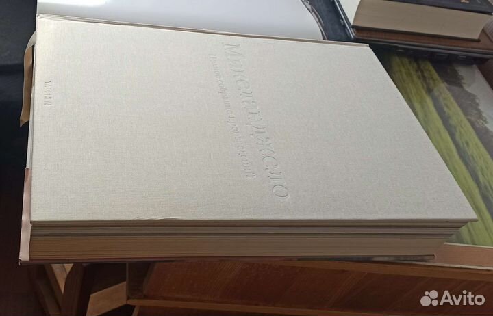 Микеланджело. Полное собрание произведений