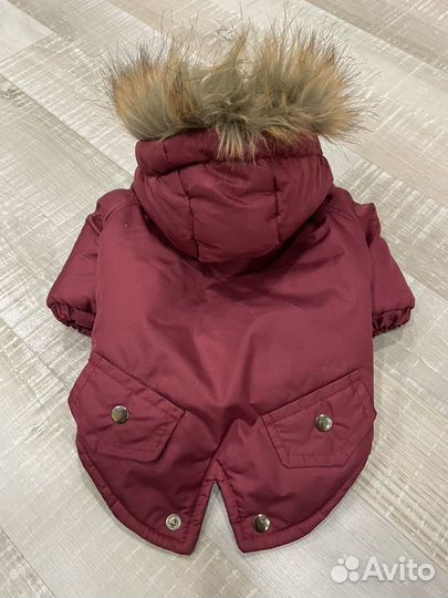 Одежда для средних собак