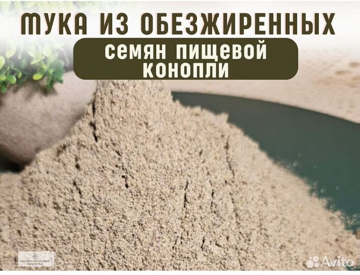 Мука из обезжиренных семян пищевой конопли