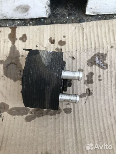 Радиатор масляный Nissan Pathfinder