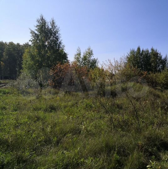 Участок 8 сот. (ИЖС)