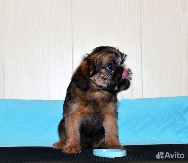 Северный парень