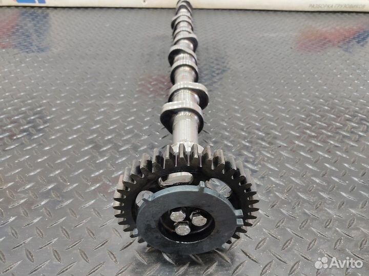 Распредвал D2066 Man TGA, Man TGS, Man TGX