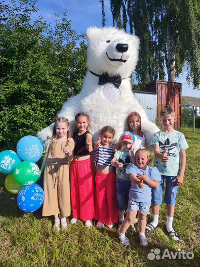 Медведь на праздник. Белый медведь на праздник