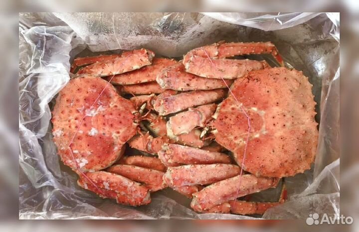 Краб Камчатский