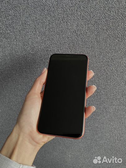 iPhone XR