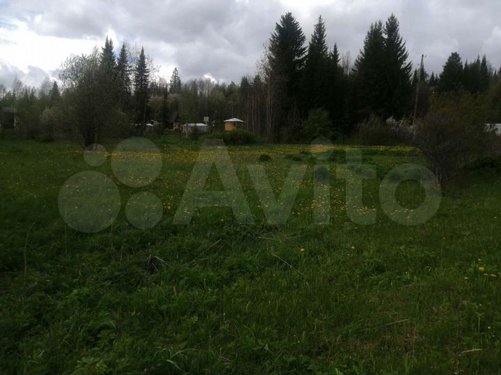 Участок 10 сот. (СНТ, ДНП)