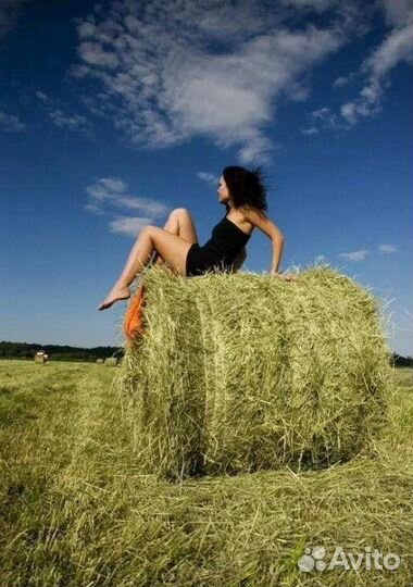 Сено в рулонах