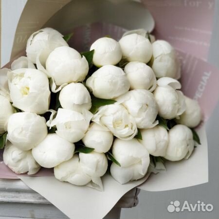 Пионы оптом и поштучно