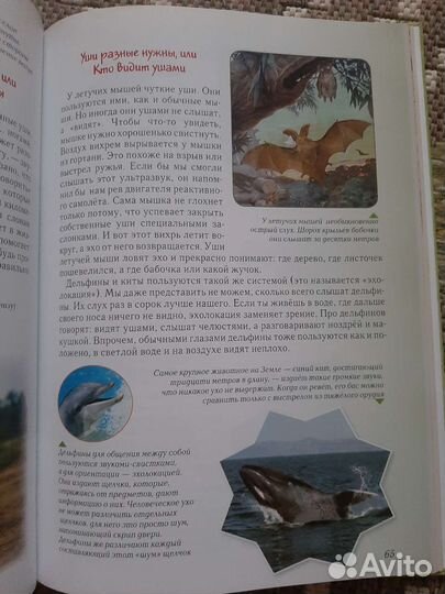 Книга для детей. Занимательная биология