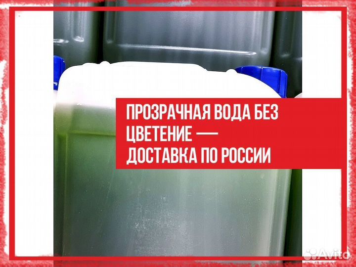 Хлорелла для пруда против цветения
