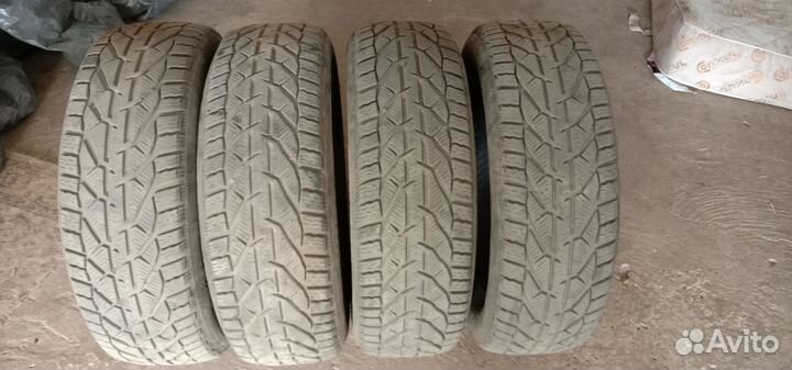 Tigar Winter 215/60 R17 96H
