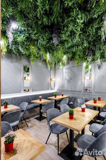 Стабилизированный мох. Озеленение. Фитостена