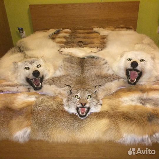 Услуги таксидермии